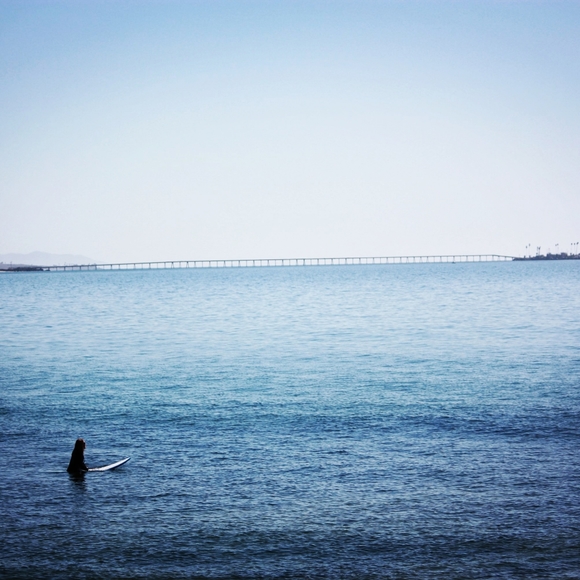 Meet your Posher Arielle! - Picture 5 of 8